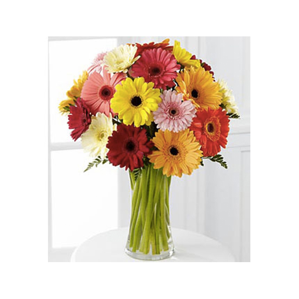 gerberas - Floristeria Online