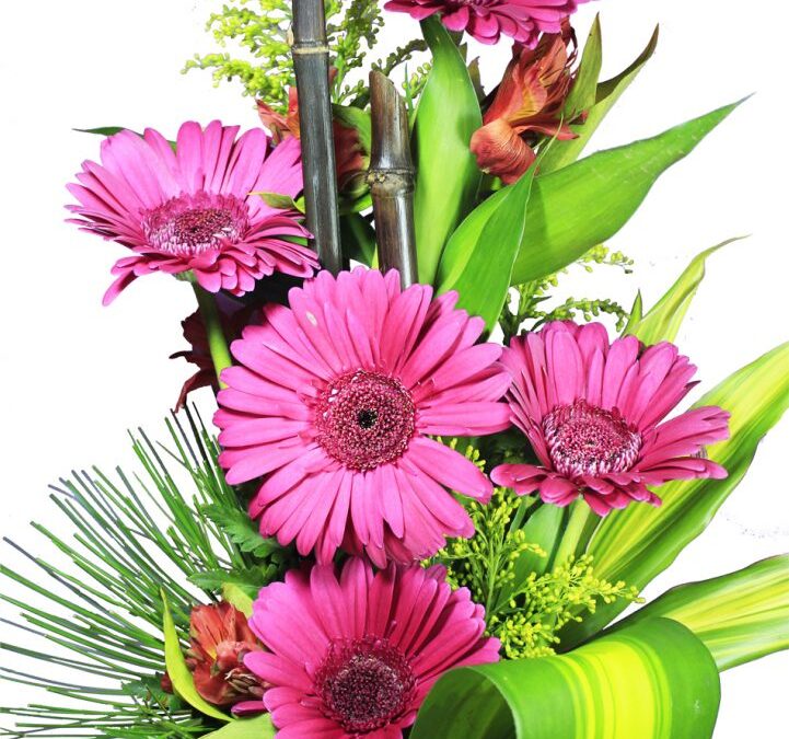 Detalle-de-Gerberas-Arreglo-De-Flores-Gerbera-Detalle-Tamaño-721x1024 -  Floristeria Online